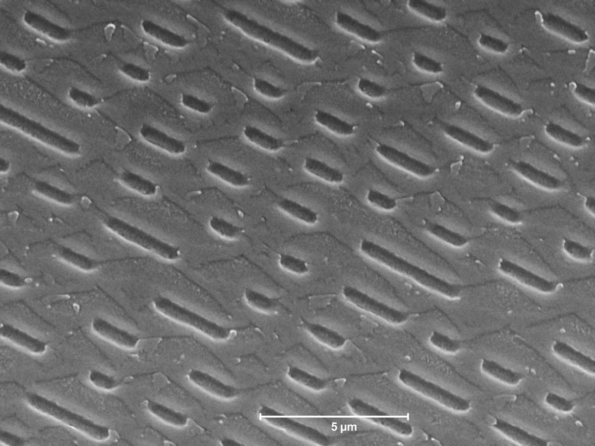 Electron microscope image of the pits pressed into a compact disc