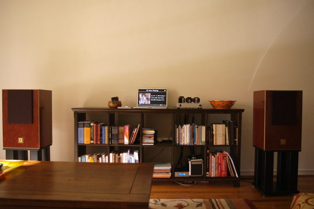 Pair of stand-mounted speakers either side of a bookcase in a living room