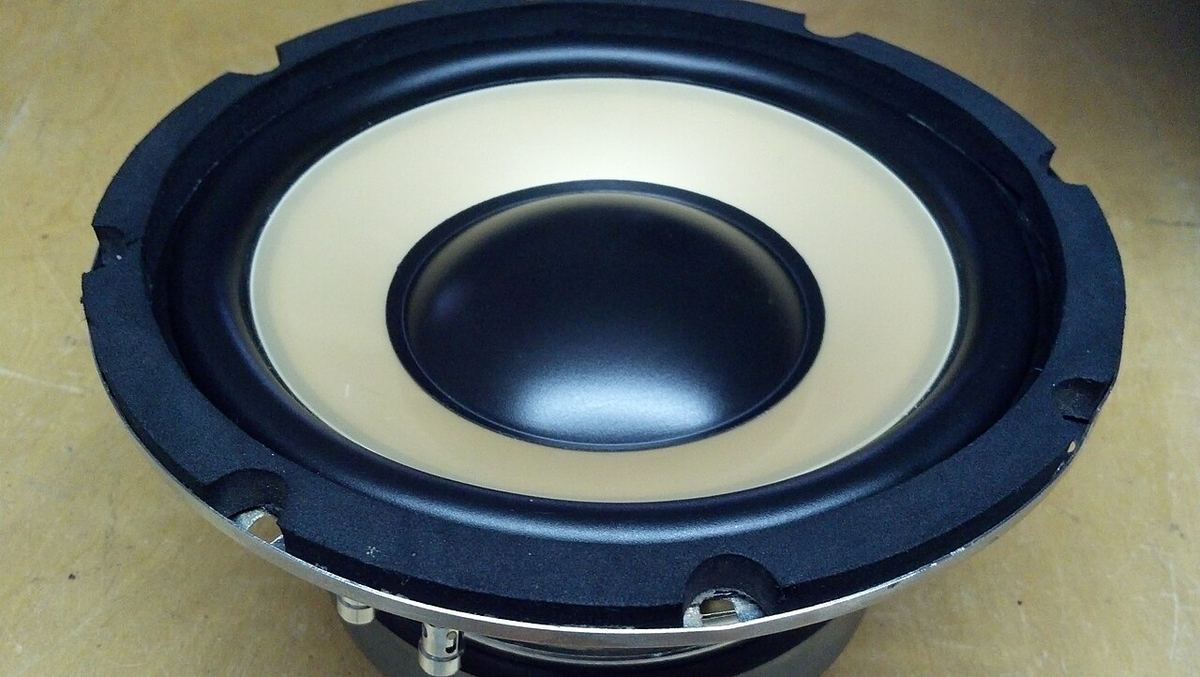 Large woofer driver with a pale surround